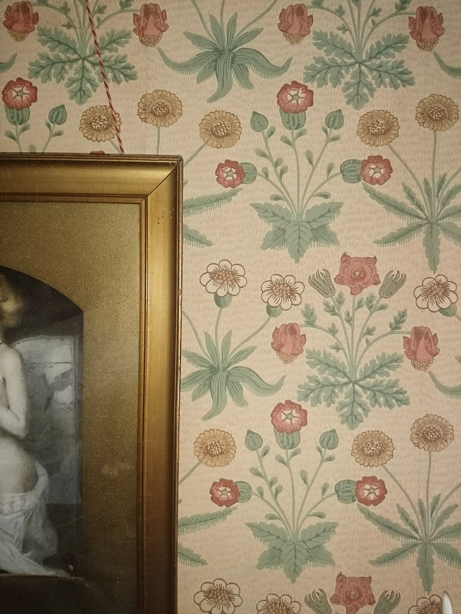 William Morris Daisy wallpaper